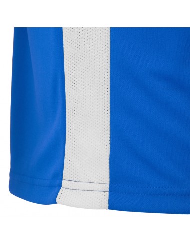 MAGLIA CALCIO SIRIUS MANICA CORTA - AZZURRO/BIANCO - MACRON